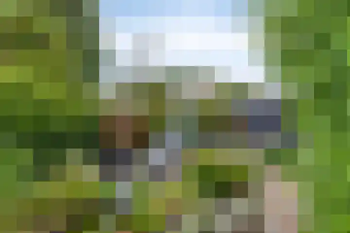 Dorpsstraat 27 Wemeldinge thumbnail 29
