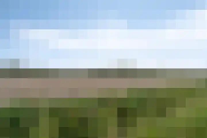 Dorpsstraat 27 Wemeldinge thumbnail 36