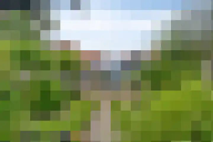 Dorpsstraat 27 Wemeldinge thumbnail 4