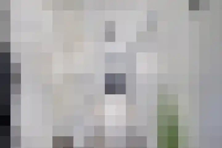 Dorpsstraat 27 Wemeldinge thumbnail 7