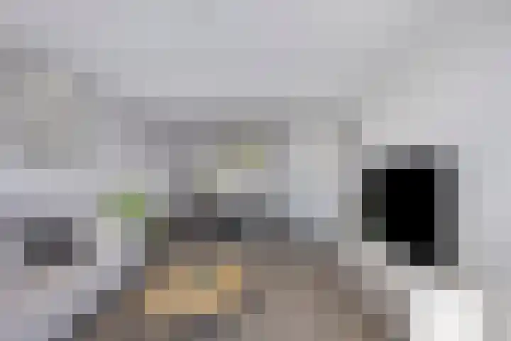Dorpsstraat 27 Wemeldinge thumbnail 9
