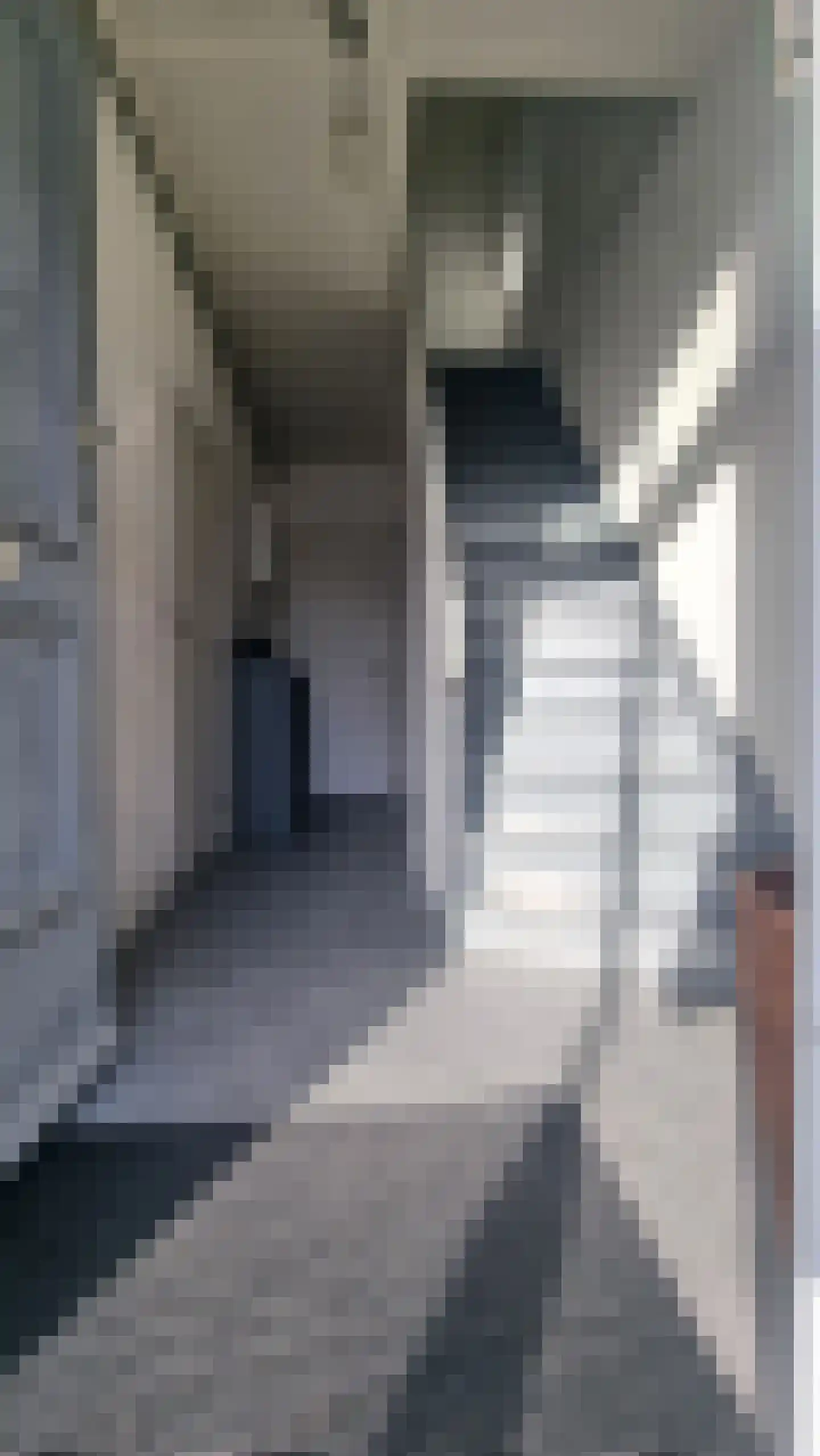 Dorpsstraat 27 Zuidzande thumbnail 17