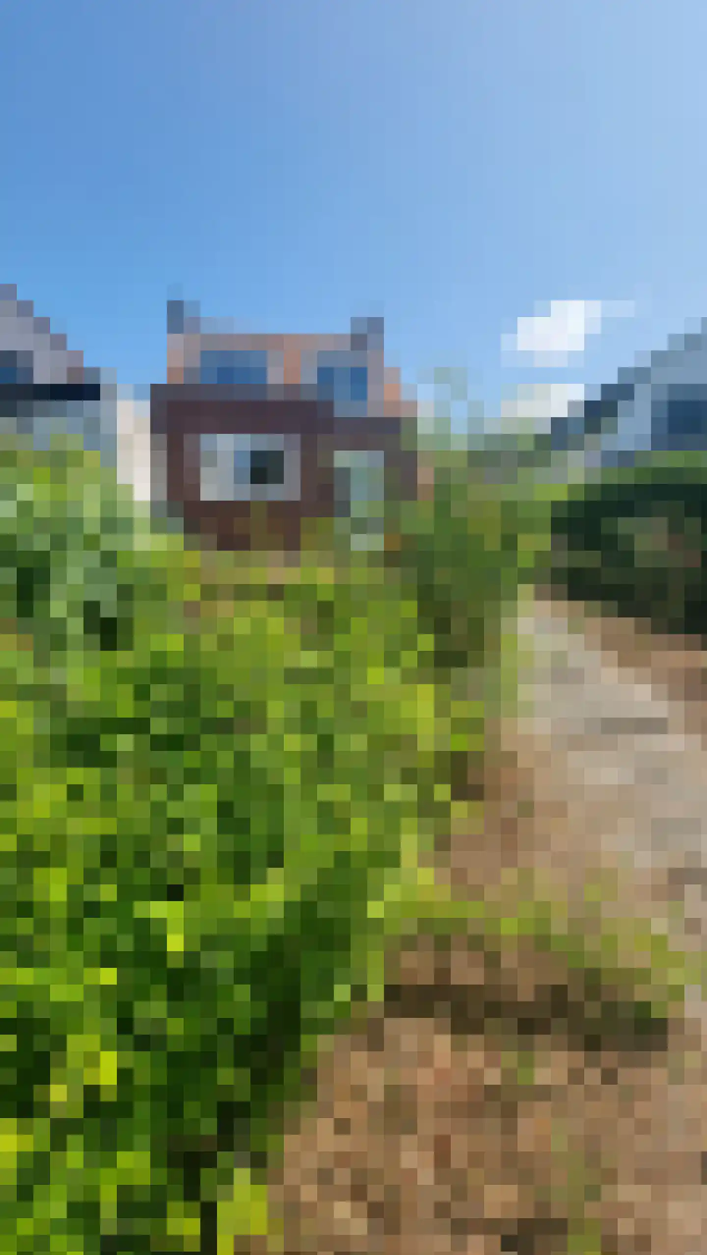 Dorpsstraat 27 Zuidzande thumbnail 30