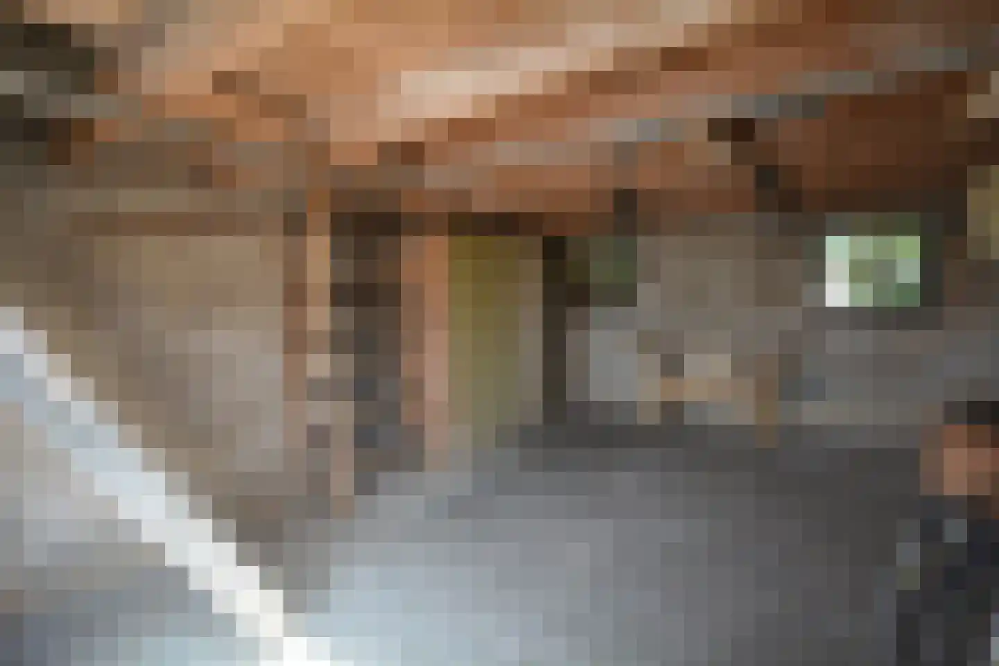 Dorpsstraat 27 Zuidzande thumbnail 33