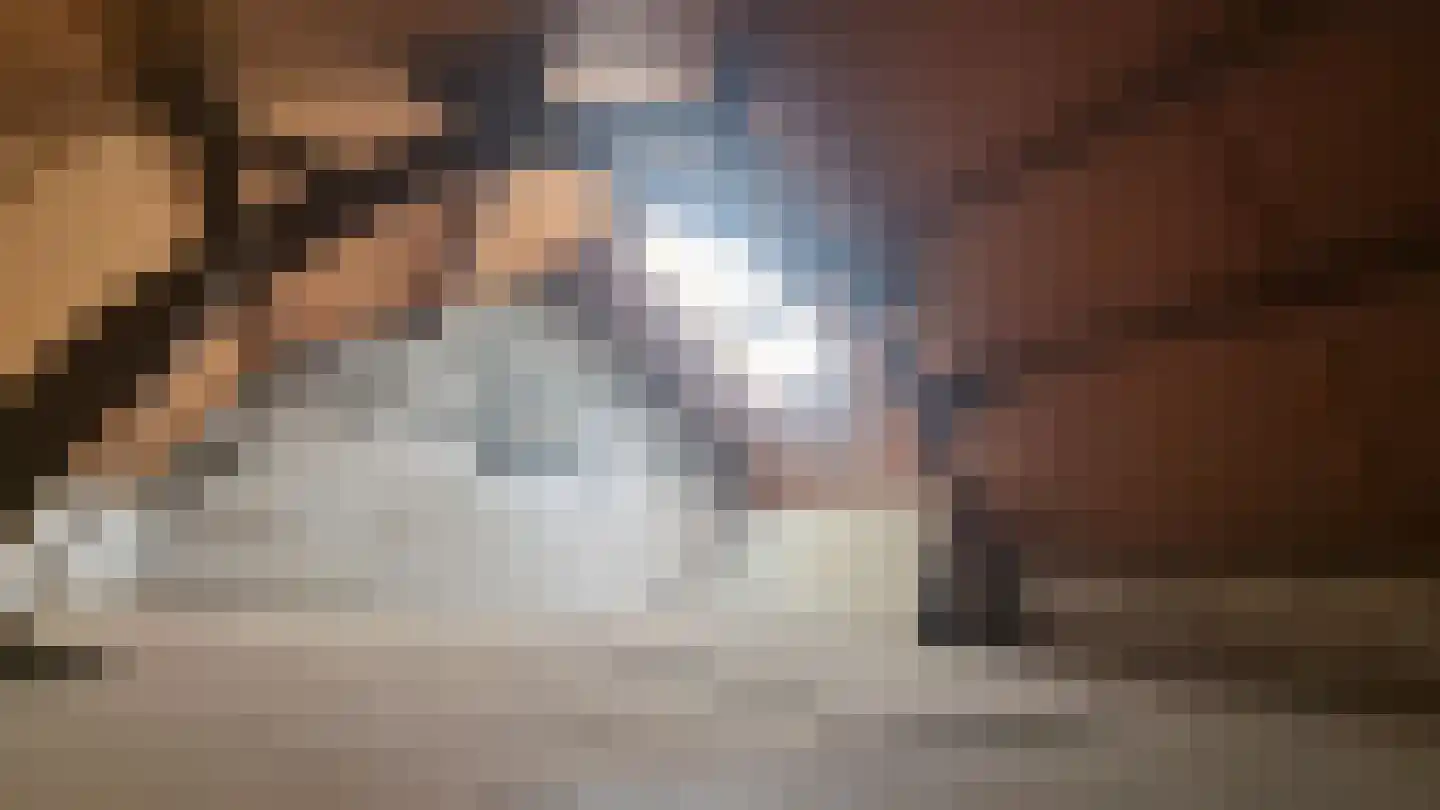 Dorpsstraat 27 Zuidzande thumbnail 34