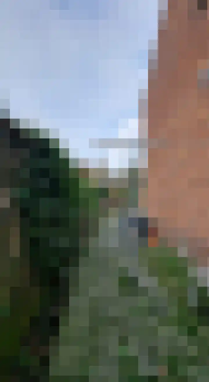 Dorpsstraat 27 Zuidzande thumbnail 36