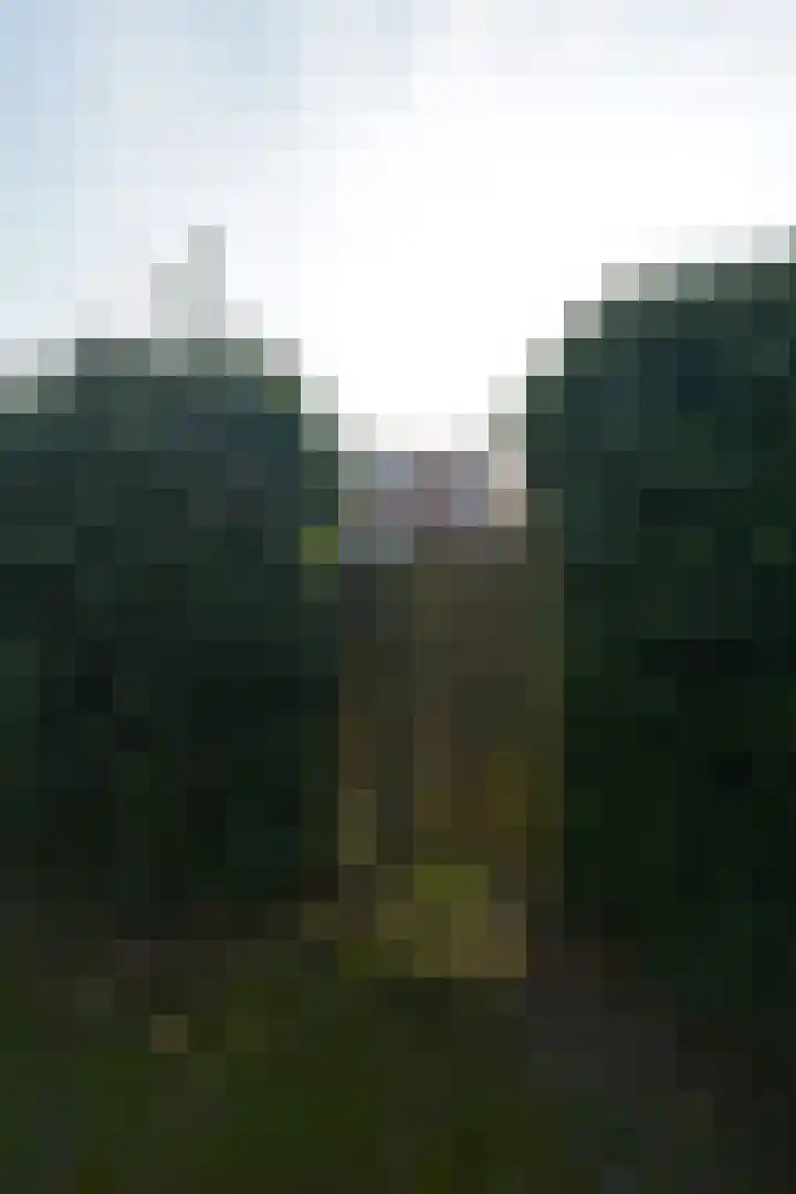 Dorpsstraat 27 Zuidzande thumbnail 38