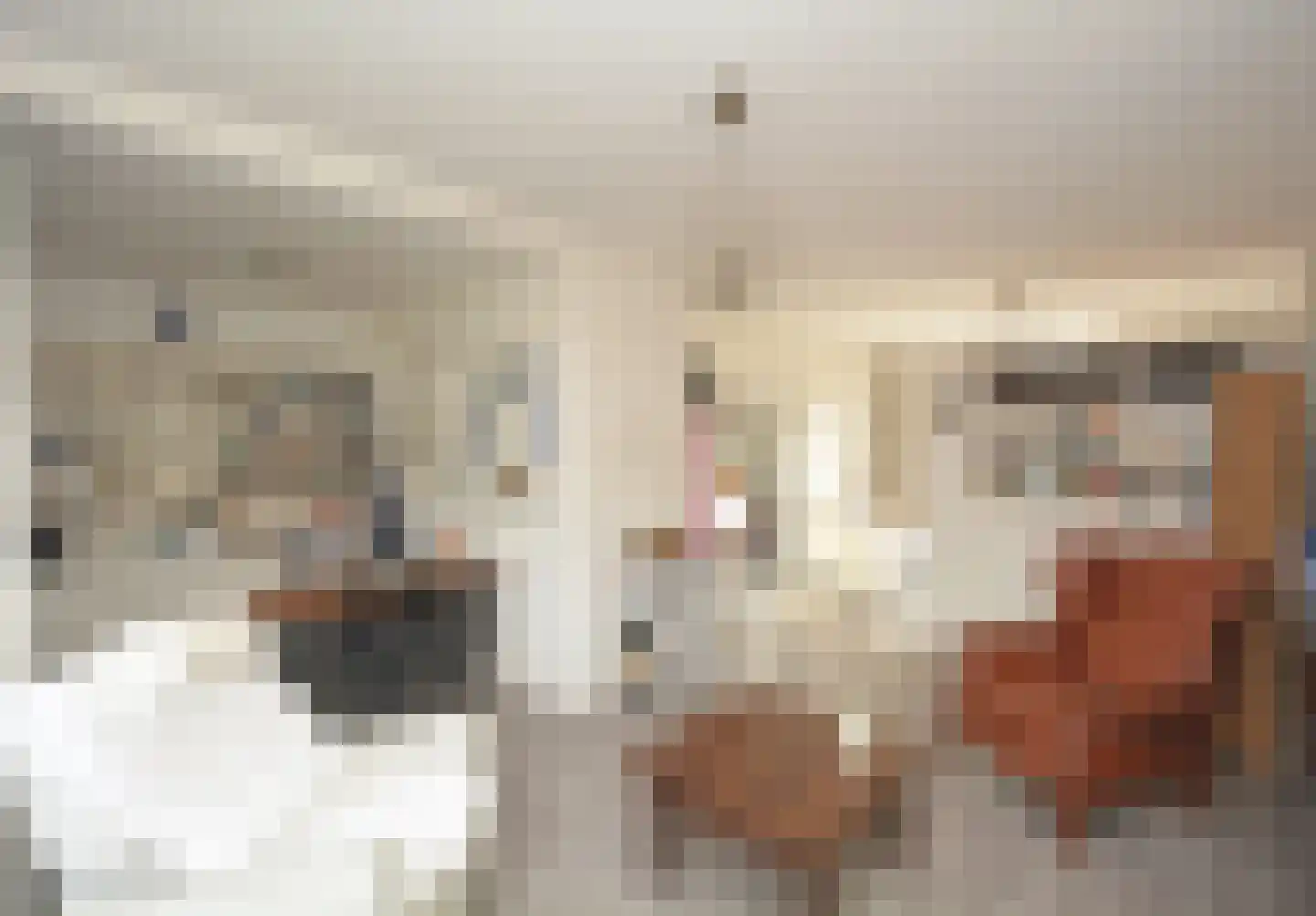 Dorpsstraat 27 Zuidzande thumbnail 4