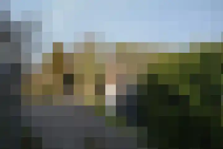 Dorpsstraat 27 Zuidzande thumbnail 40