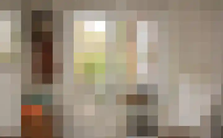 Dorpsstraat 27 Zuidzande thumbnail 8