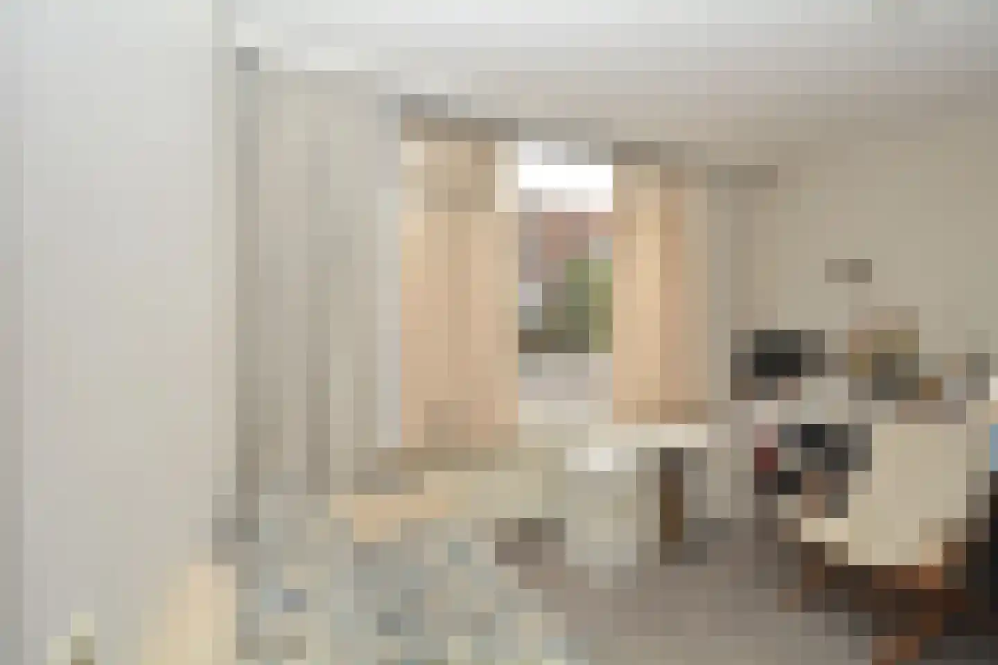 Dorpsstraat 27 Zuidzande thumbnail 8