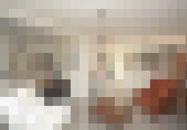 Dorpsstraat 27 Zuidzande thumbnail 9
