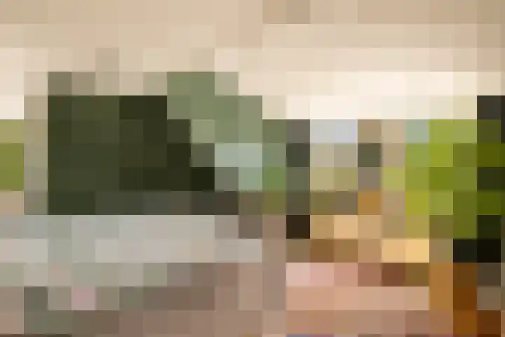 Dorpsstraat 271 Assendelft thumbnail 31