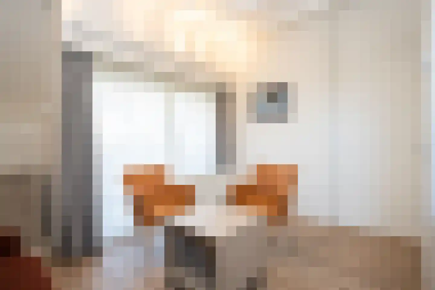 Dorpsstraat 271 De Koog thumbnail 10