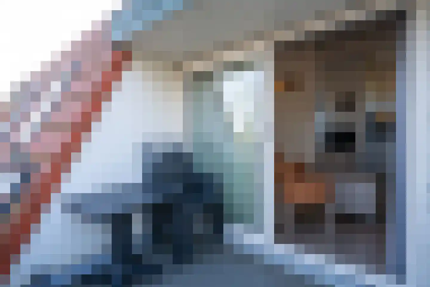 Dorpsstraat 271 De Koog thumbnail 13
