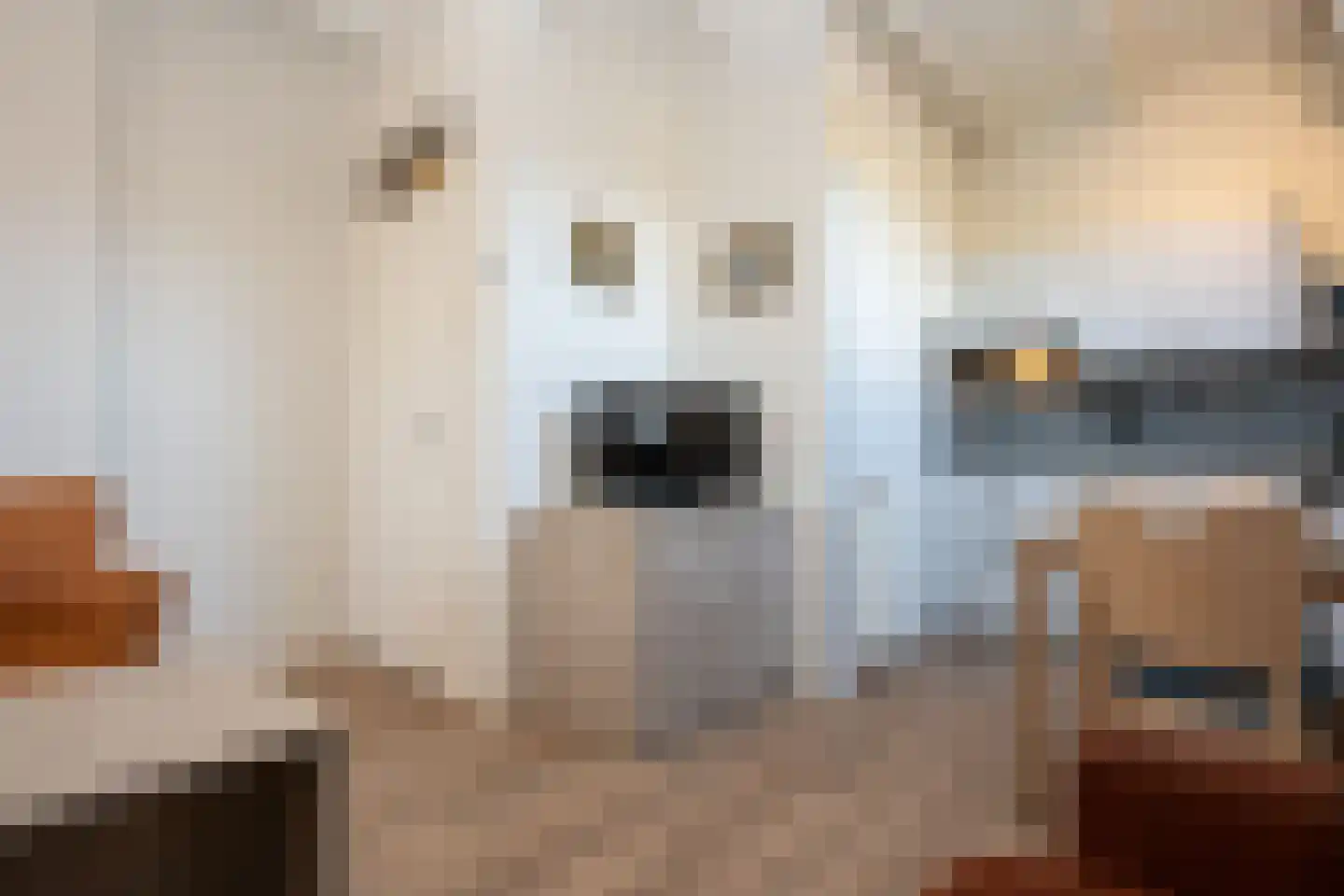Dorpsstraat 271 De Koog thumbnail 18