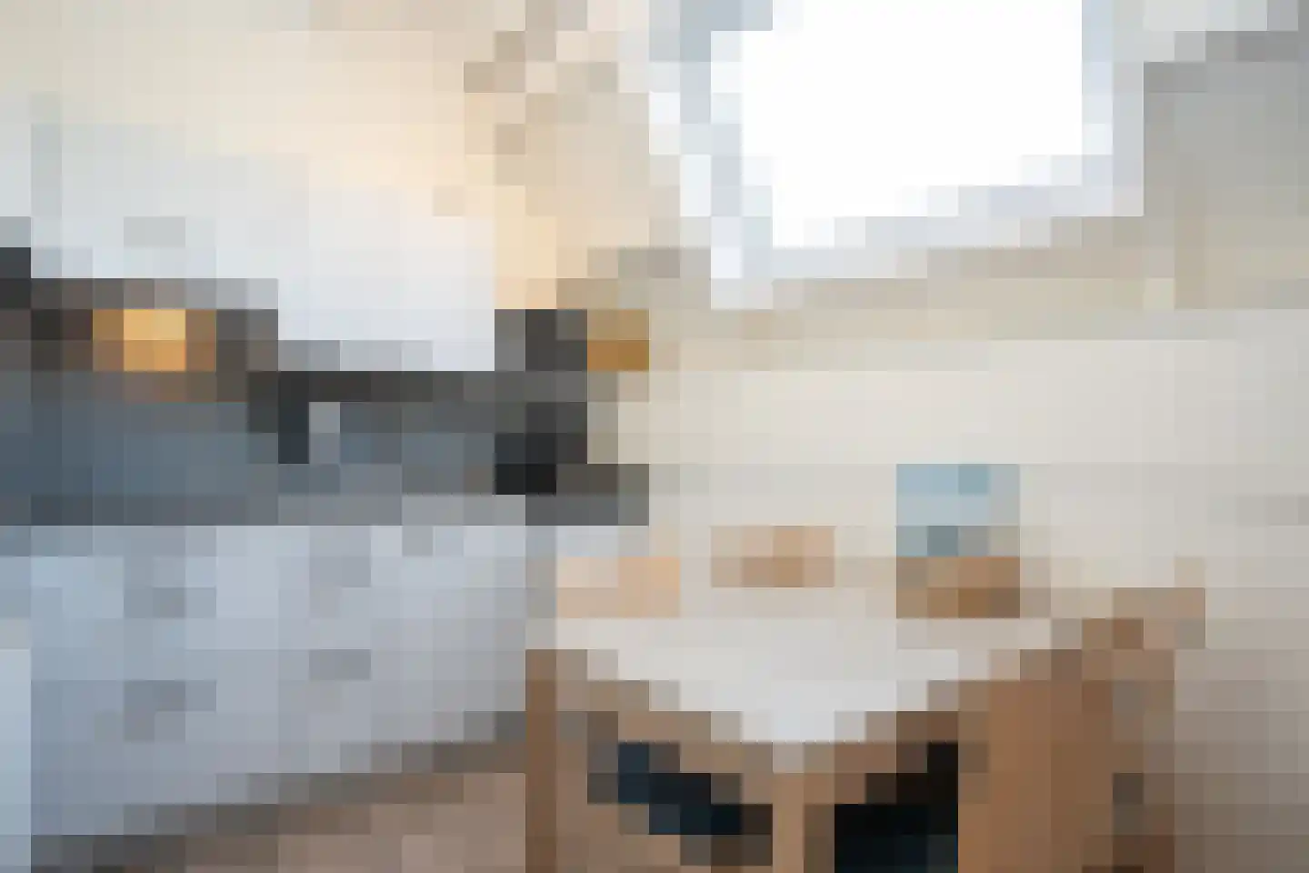 Dorpsstraat 271 De Koog thumbnail 21