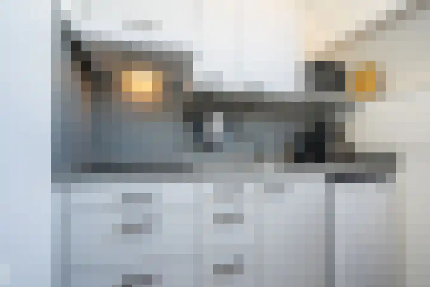Dorpsstraat 271 De Koog thumbnail 23