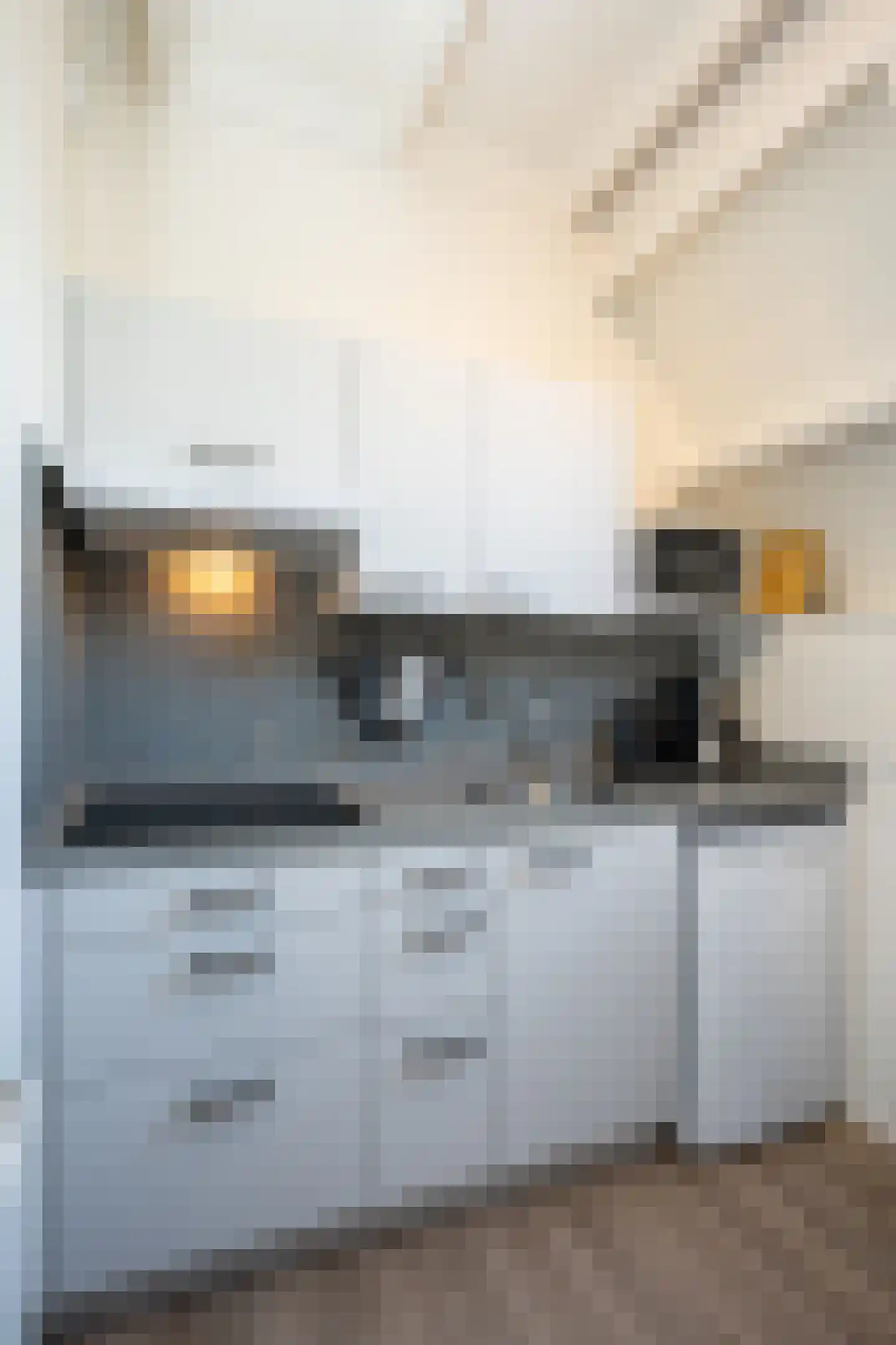 Dorpsstraat 271 De Koog thumbnail 24