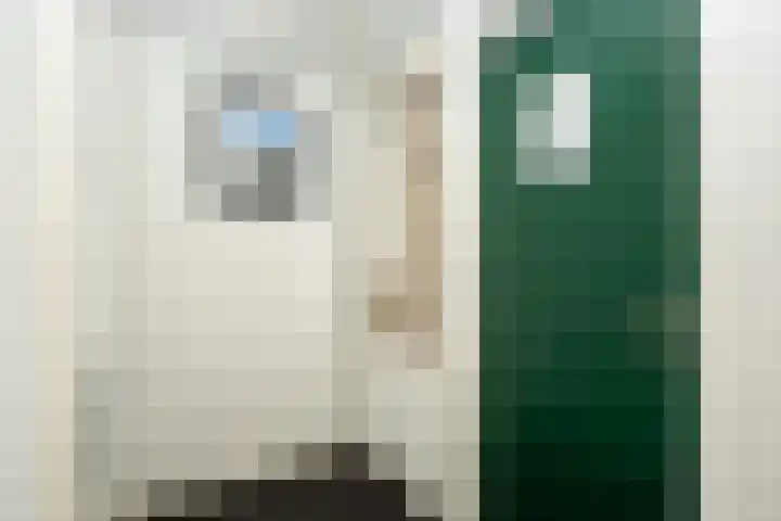 Dorpsstraat 271 De Koog thumbnail 25