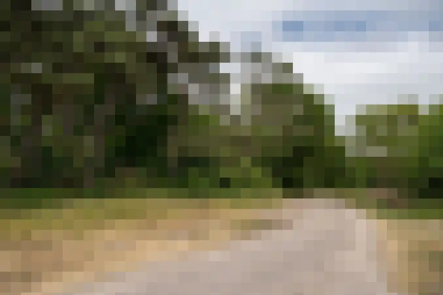 Dorpsstraat 271 De Koog thumbnail 47