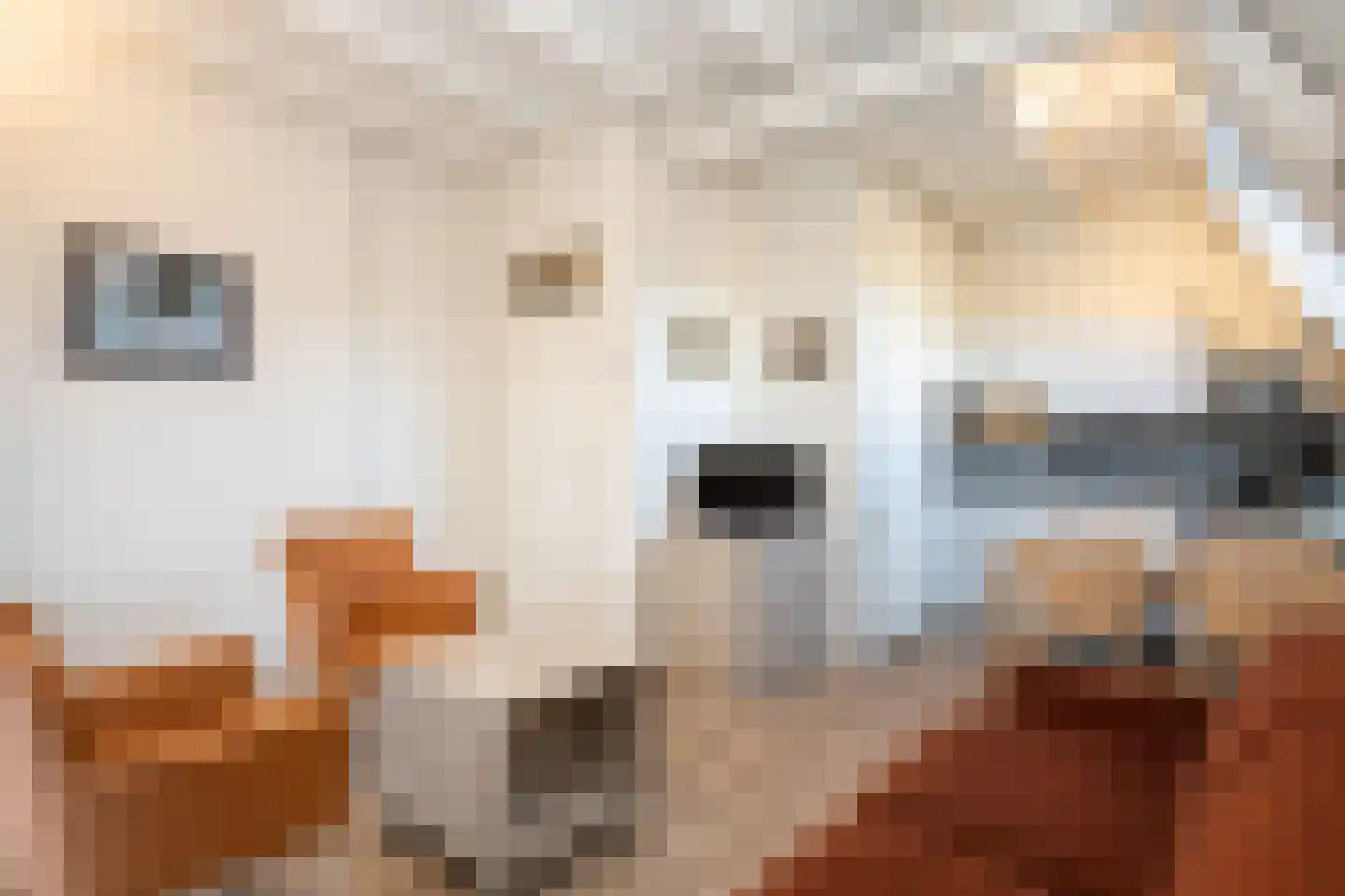 Dorpsstraat 271 De Koog thumbnail 5