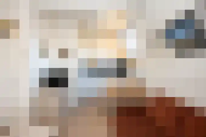 Dorpsstraat 271 De Koog thumbnail 7