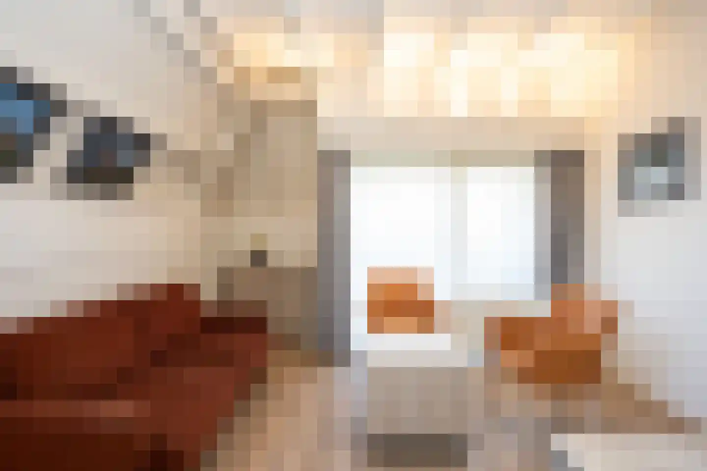 Dorpsstraat 271 De Koog thumbnail 8