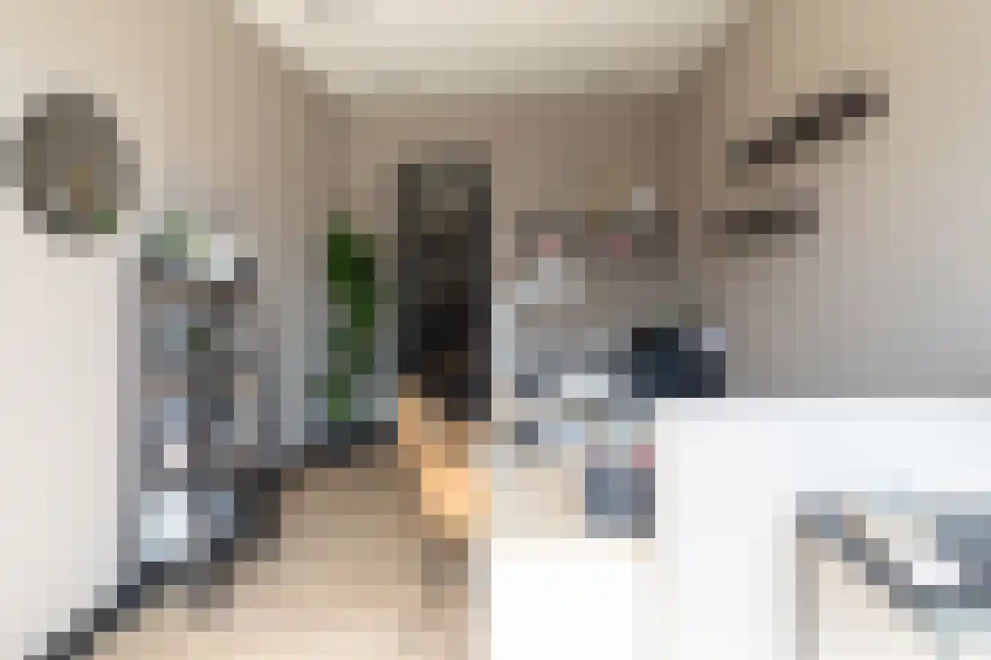 Dorpsstraat 273 Scherpenzeel thumbnail 11