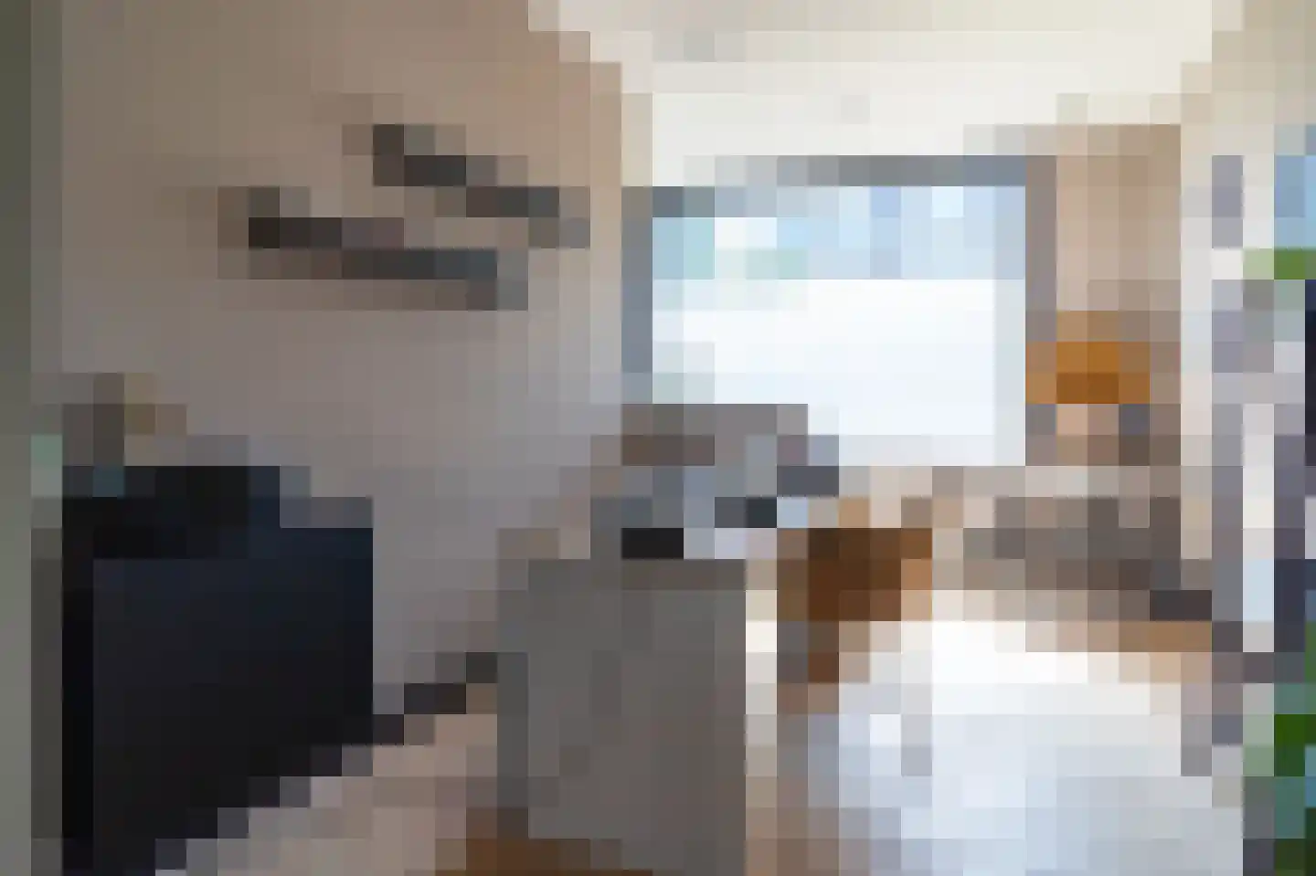 Dorpsstraat 273 Scherpenzeel thumbnail 12