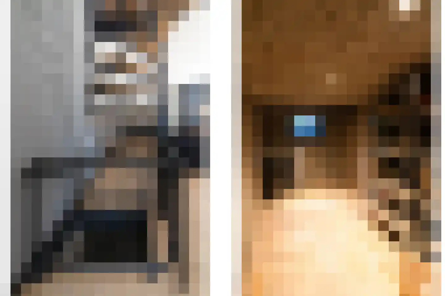 Dorpsstraat 273 Scherpenzeel thumbnail 13