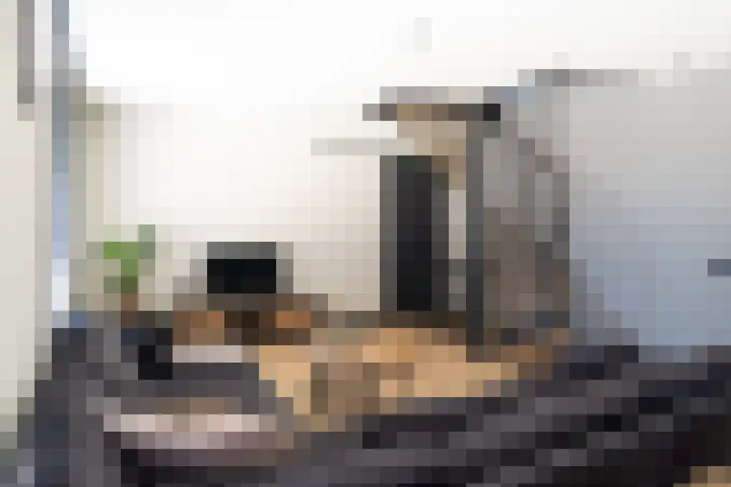 Dorpsstraat 273 Scherpenzeel thumbnail 14