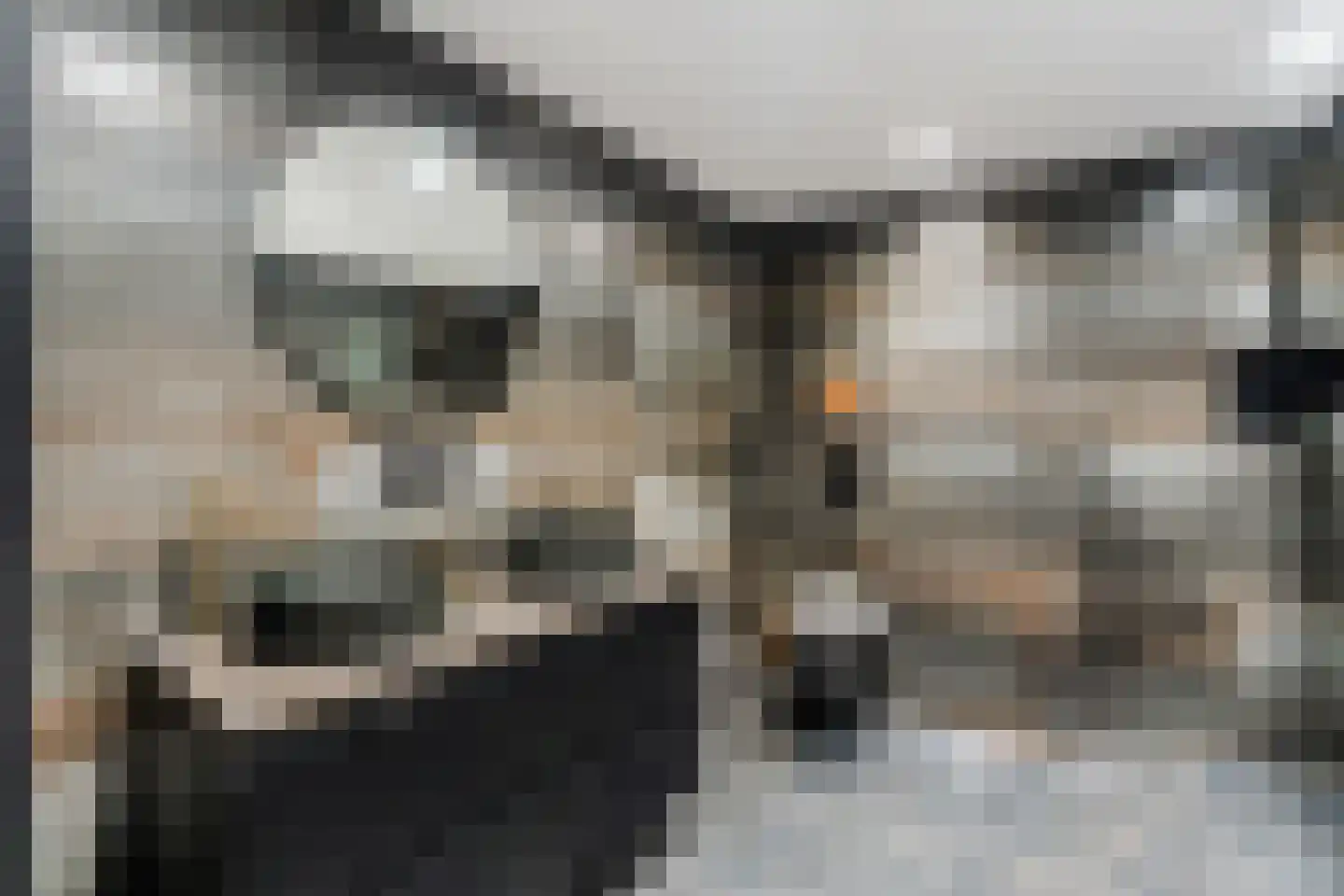 Dorpsstraat 273 Scherpenzeel thumbnail 24