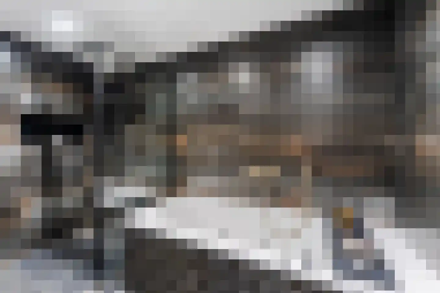 Dorpsstraat 273 Scherpenzeel thumbnail 25