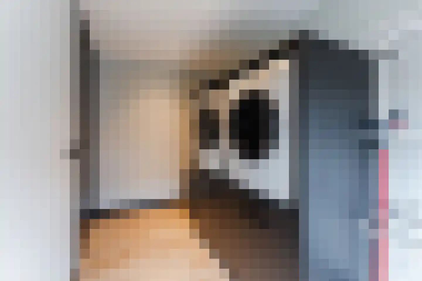 Dorpsstraat 273 Scherpenzeel thumbnail 28