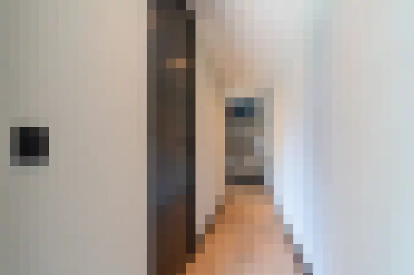 Dorpsstraat 273 Scherpenzeel thumbnail 30