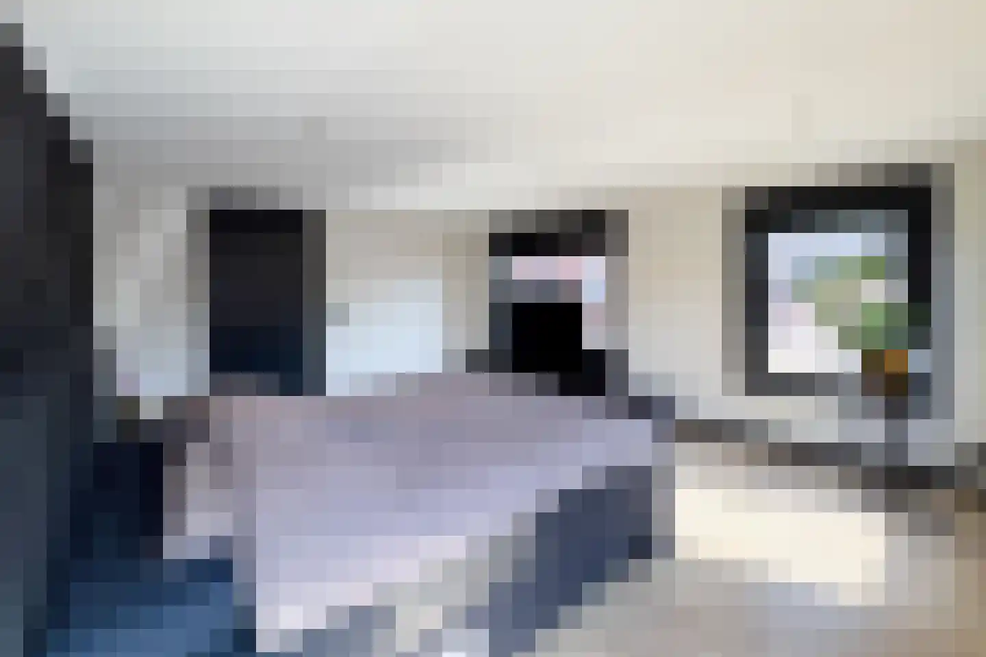 Dorpsstraat 273 Scherpenzeel thumbnail 34