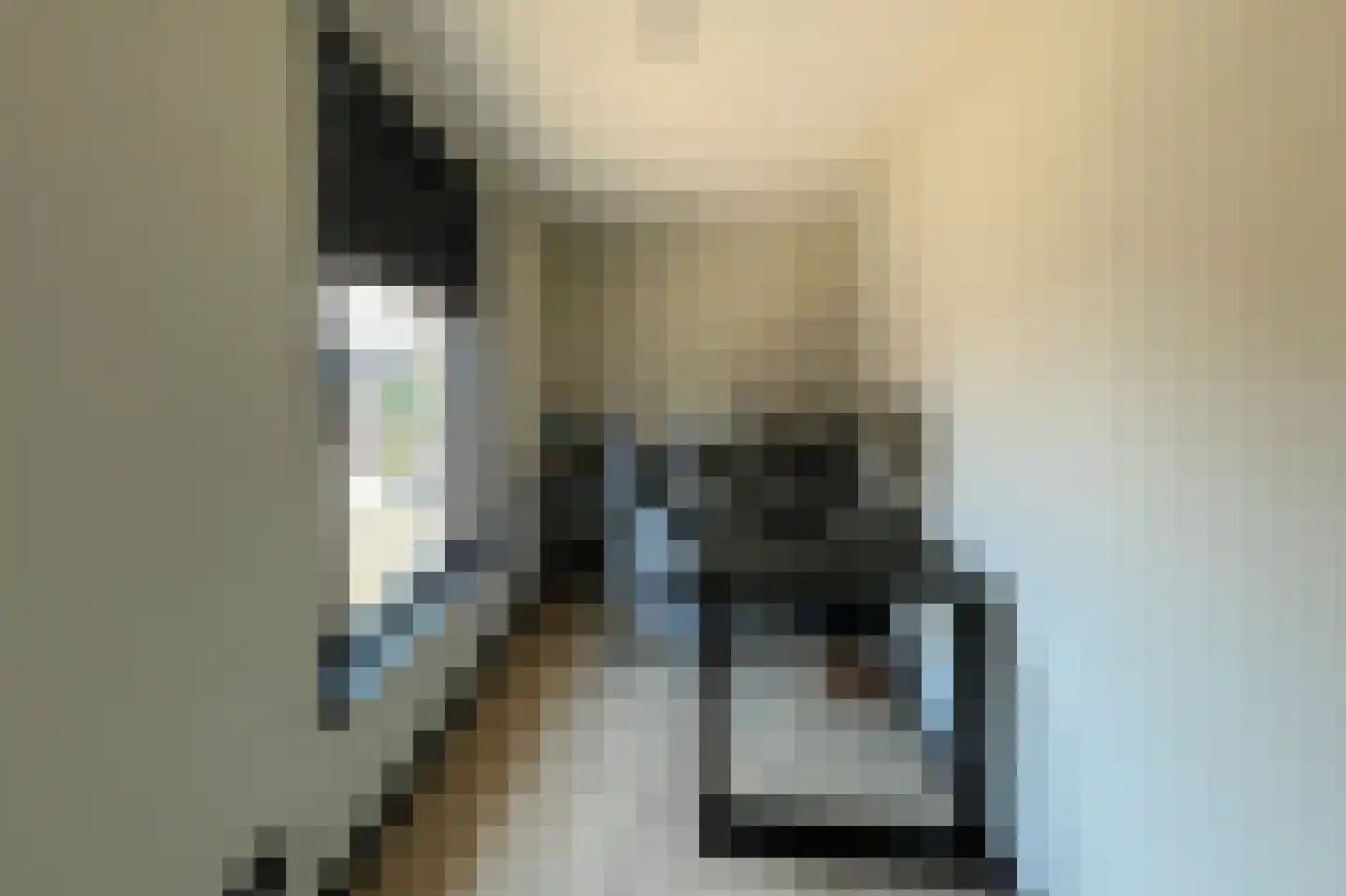 Dorpsstraat 273 Scherpenzeel thumbnail 38