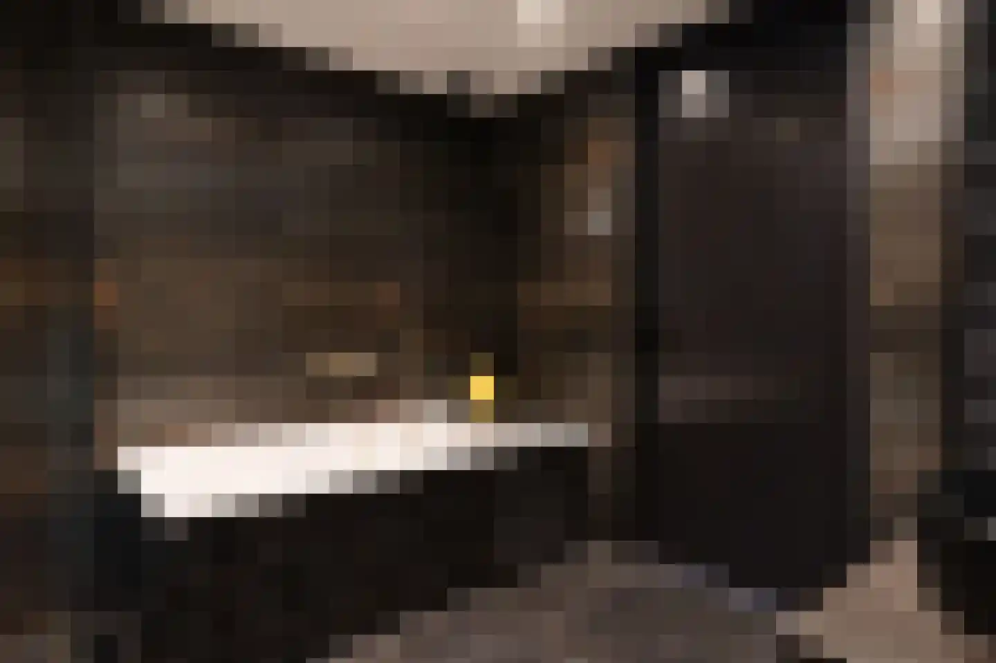 Dorpsstraat 273 Scherpenzeel thumbnail 43