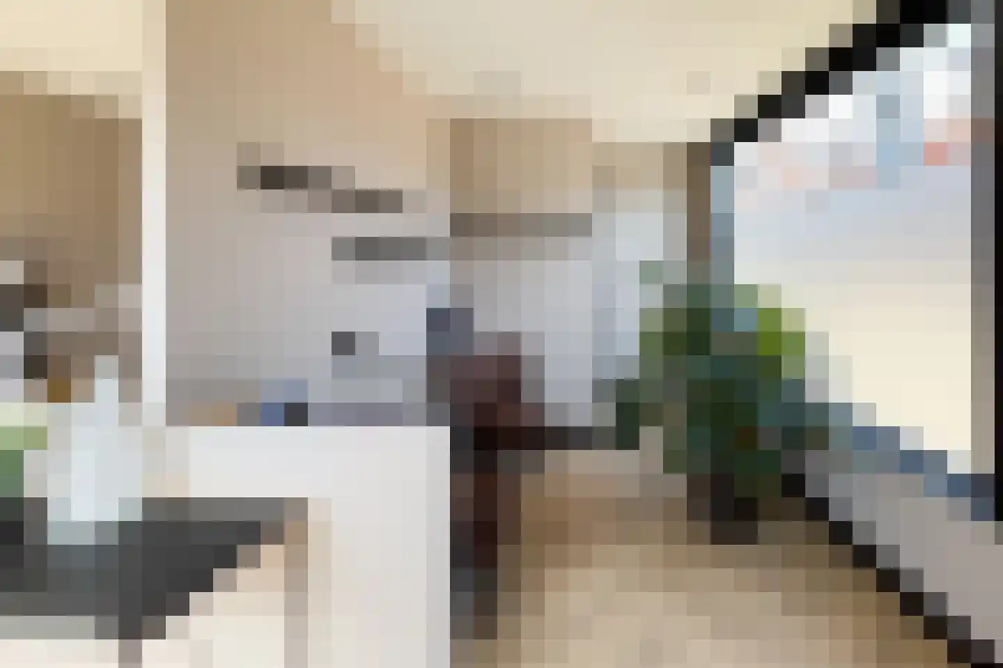 Dorpsstraat 273 Scherpenzeel thumbnail 9