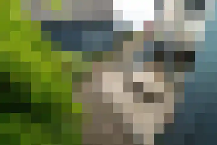 Dorpsstraat 28 Dussen thumbnail 13