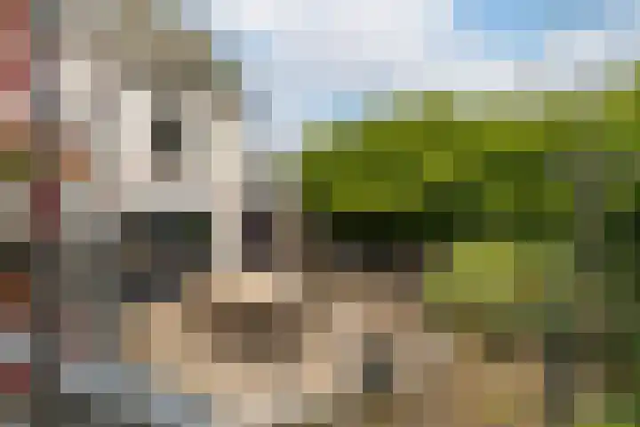 Dorpsstraat 28 Dussen thumbnail 24