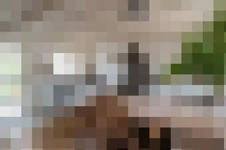 Dorpsstraat 28 Dussen thumbnail 4