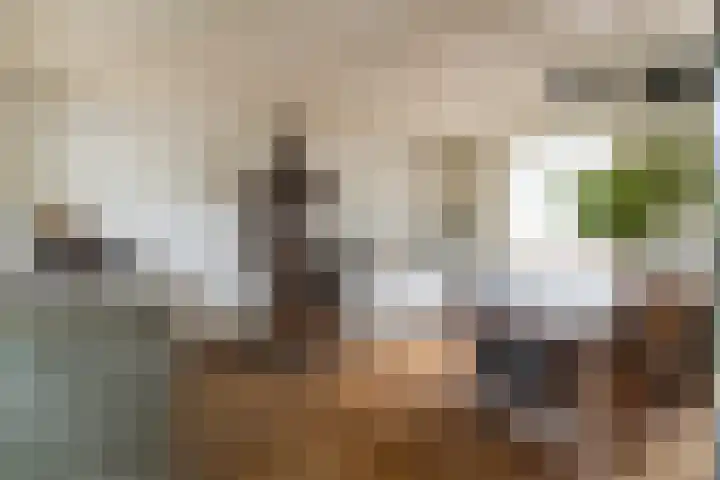 Dorpsstraat 28 Dussen thumbnail 5