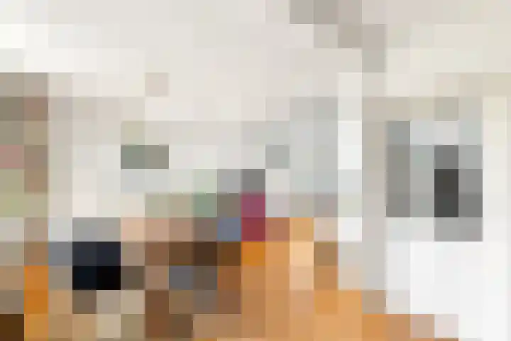 Dorpsstraat 28 Gapinge thumbnail 10