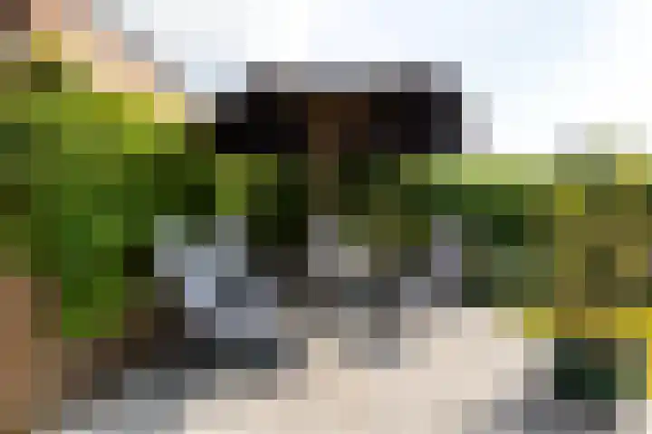 Dorpsstraat 28 Gapinge thumbnail 20