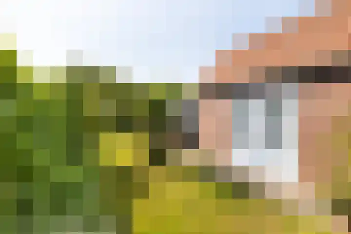 Dorpsstraat 28 Gapinge thumbnail 22