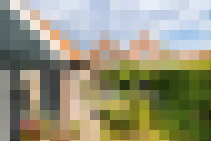 Dorpsstraat 28 Gapinge thumbnail 23