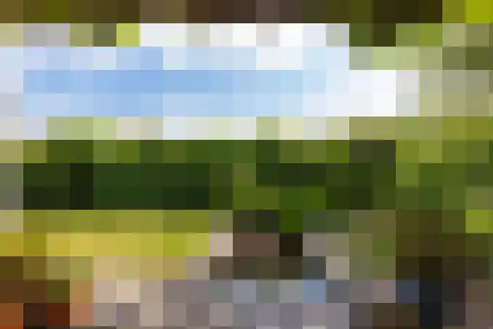 Dorpsstraat 28 Gapinge thumbnail 24