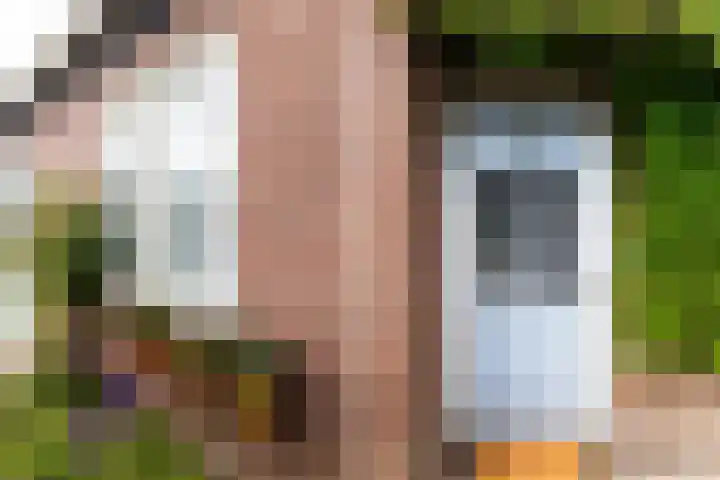 Dorpsstraat 28 Gapinge thumbnail 25